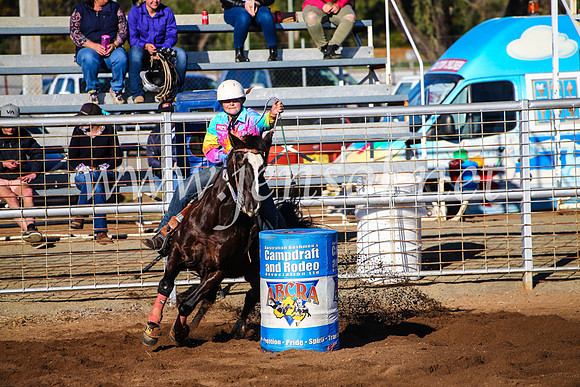 CoonambleRodeoCampdraftMon_6175