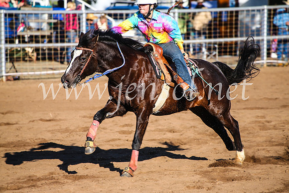 CoonambleRodeoCampdraftMon_6190