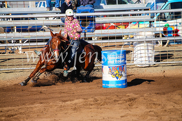 CoonambleRodeoCampdraftMon_6199