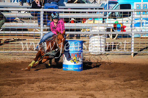 CoonambleRodeoCampdraftMon_6243