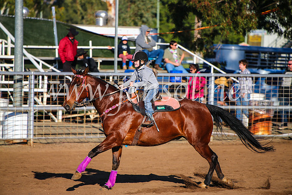 CoonambleRodeoCampdraftMon_6084