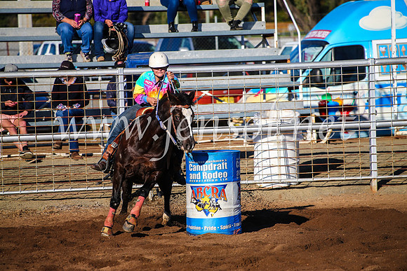 CoonambleRodeoCampdraftMon_6173