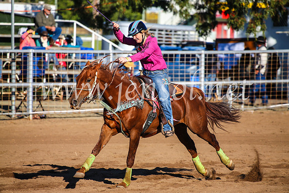 CoonambleRodeoCampdraftMon_6248