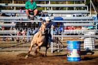 CoonambleRodeoCampdraftMon_6095