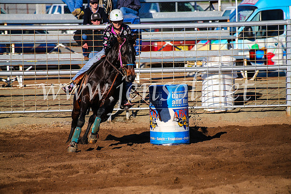 CoonambleRodeoCampdraftMon_6259