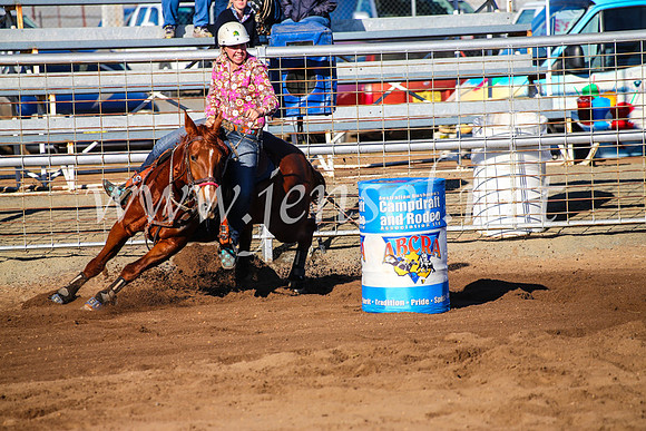 CoonambleRodeoCampdraftMon_6197
