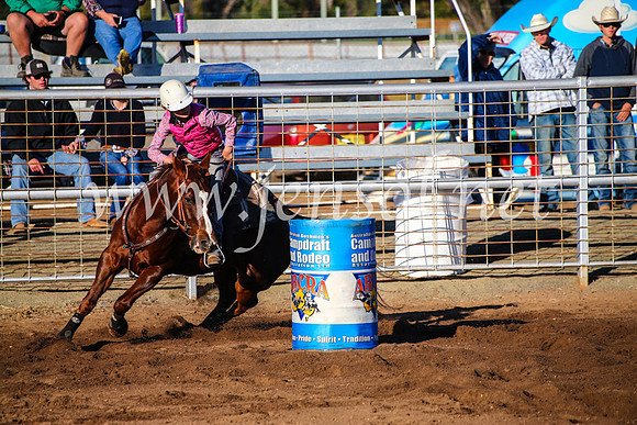 CoonambleRodeoCampdraftMon_6080