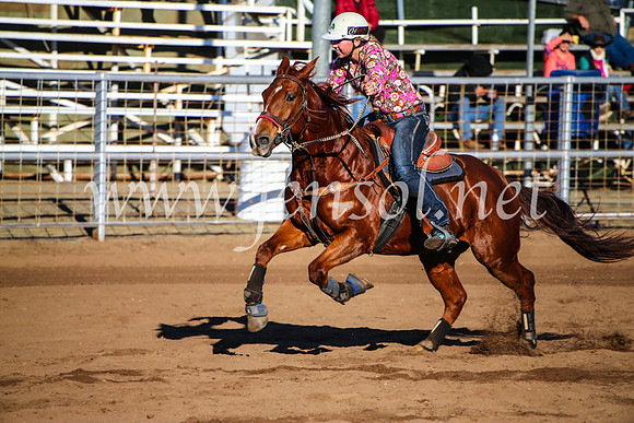 CoonambleRodeoCampdraftMon_6209
