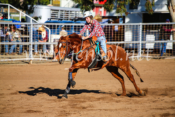 CoonambleRodeoCampdraftMon_6270