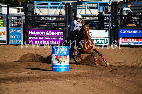 CoonambleRodeoCampdraftMon_6225