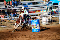 CoonambleRodeoCampdraftMon_6142