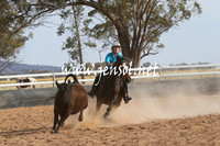 TubbulCampdraft2014_0280