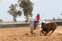 TubbulCampdraft2014_0273