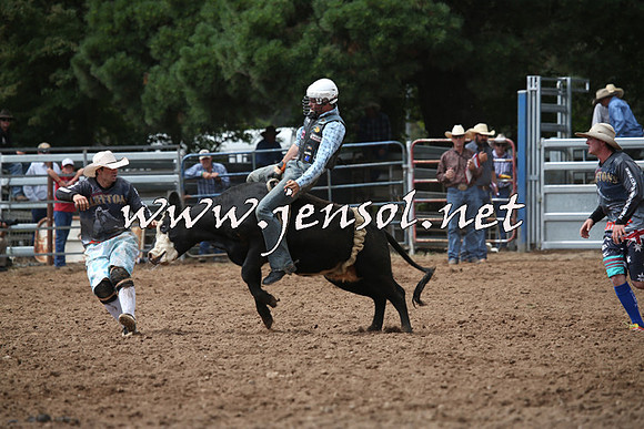 TaralgaRodeo2016_5262