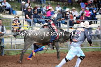 TaralgaRodeo2016_4253