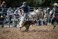 TaralgaRodeo2016_5236