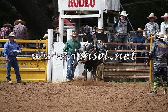 TaralgaRodeo2016_5285