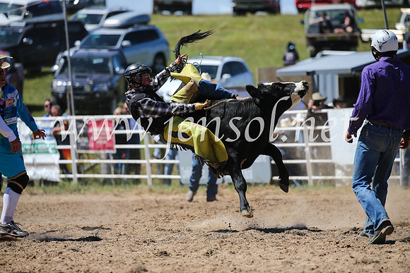 BungendoreRodeo2016-2839