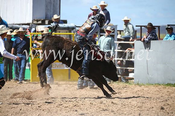 BungendoreRodeo2016-2857