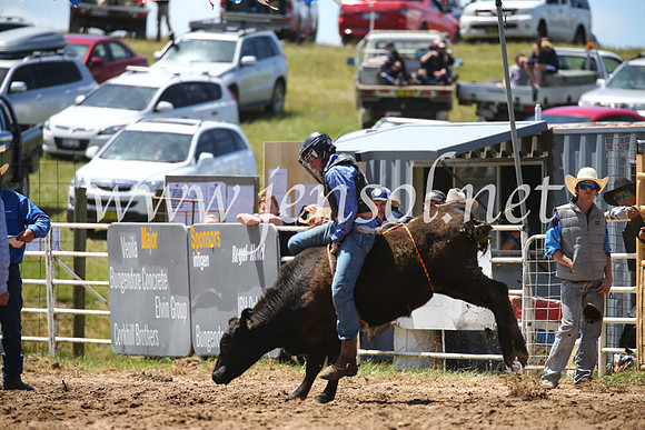 BungendoreRodeo2016-2246