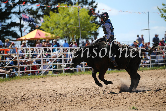 BungendoreRodeo2016-2797