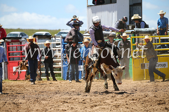 BungendoreRodeo2016-2087