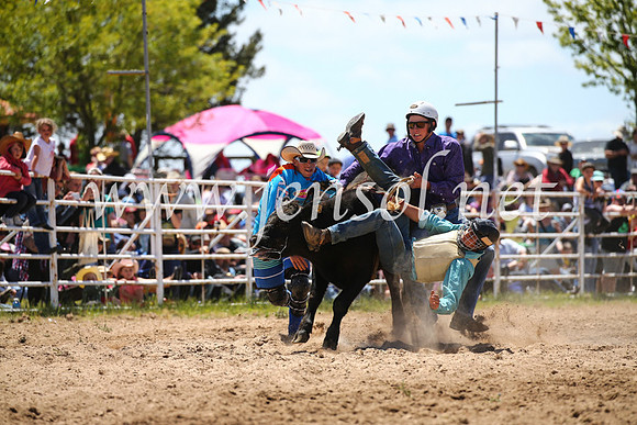 BungendoreRodeo2016-2056