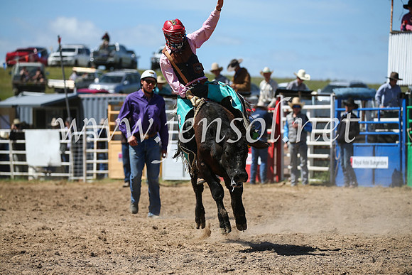 BungendoreRodeo2016-2890