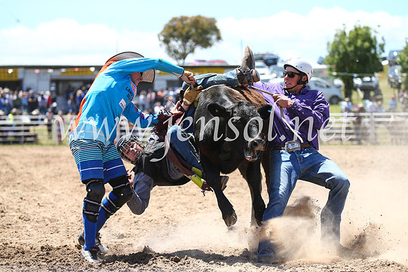BungendoreRodeo2016-2167
