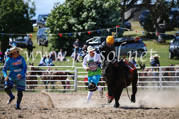 BungendoreRodeo2016-2758