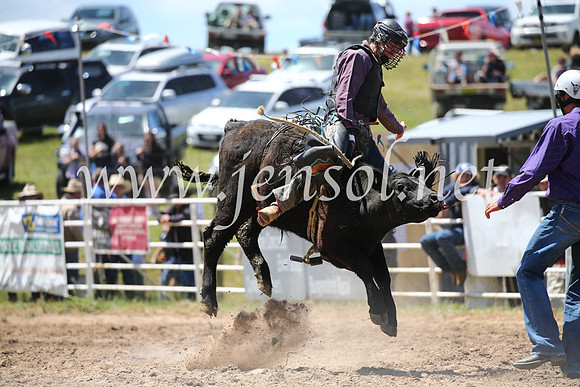BungendoreRodeo2016-2263