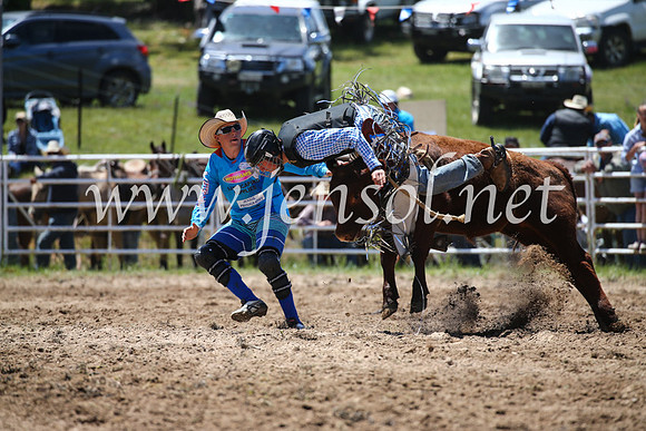 BungendoreRodeo2016-1881