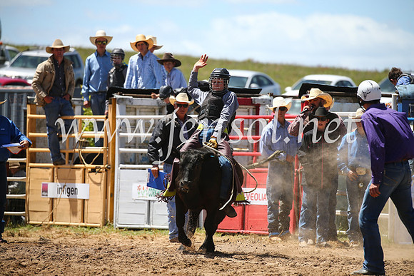 BungendoreRodeo2016-2112