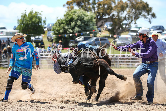 BungendoreRodeo2016-2162