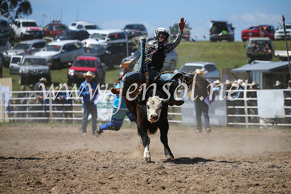 BungendoreRodeo2016-2927