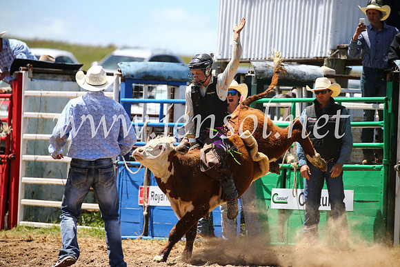BungendoreRodeo2016-1961