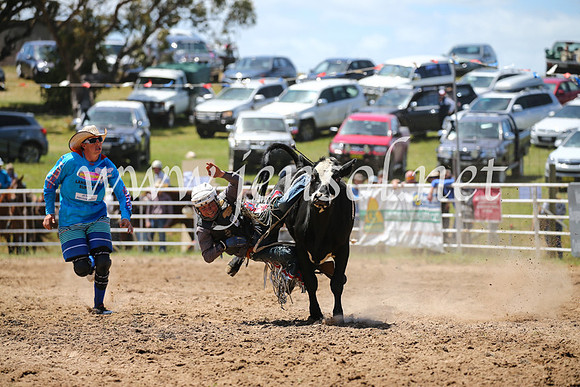 BungendoreRodeo2016-2189