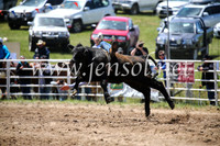 BungendoreRodeo2016-1856