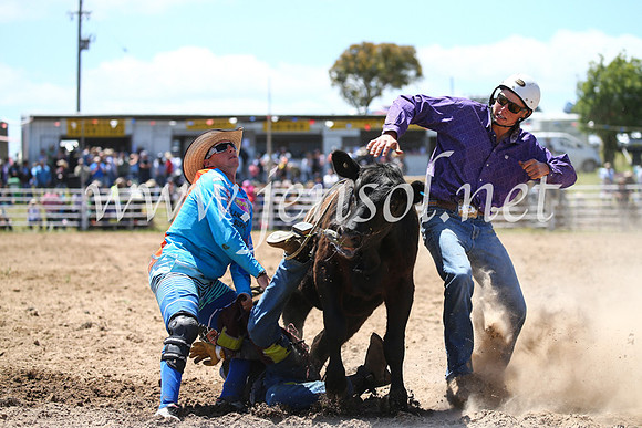 BungendoreRodeo2016-2175