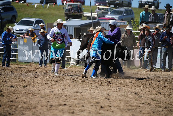 BungendoreRodeo2016-2957