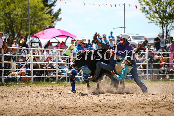 BungendoreRodeo2016-2055