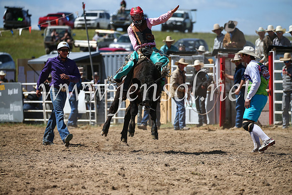 BungendoreRodeo2016-2882