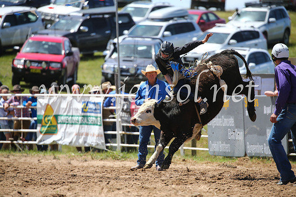 BungendoreRodeo2016-2222