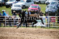 BungendoreRodeo2016-1853