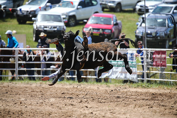 BungendoreRodeo2016-1853