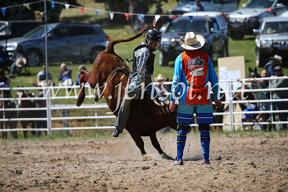 BungendoreRodeo2016-2809