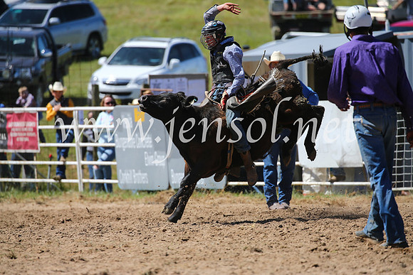 BungendoreRodeo2016-2843