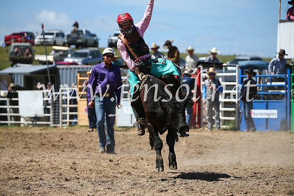 BungendoreRodeo2016-2891