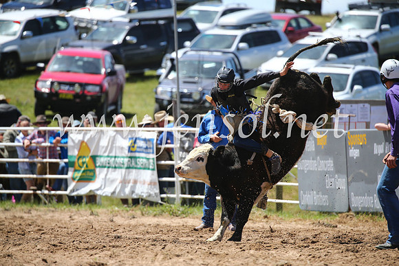 BungendoreRodeo2016-2225