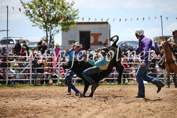 BungendoreRodeo2016-2050